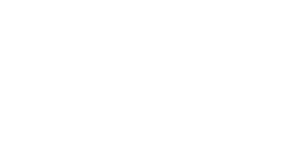 BAR FLOG